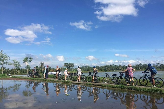 Half-Day Electric Cycling Tour of Ubud